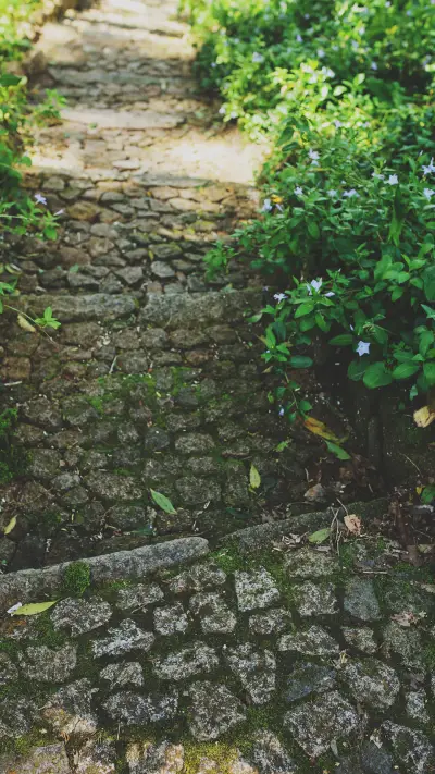 森系花卉-锐景创意