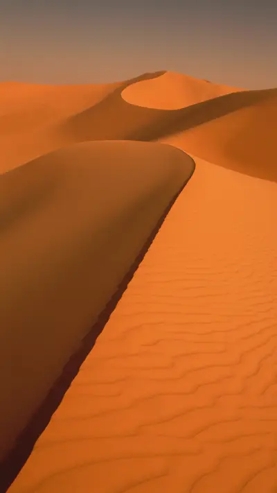 壁纸设置页图片 (88) - Screenshot 1