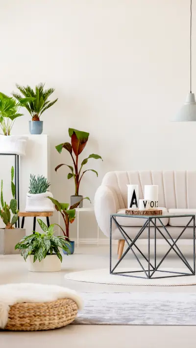 客厅地毯 脚下的秘密