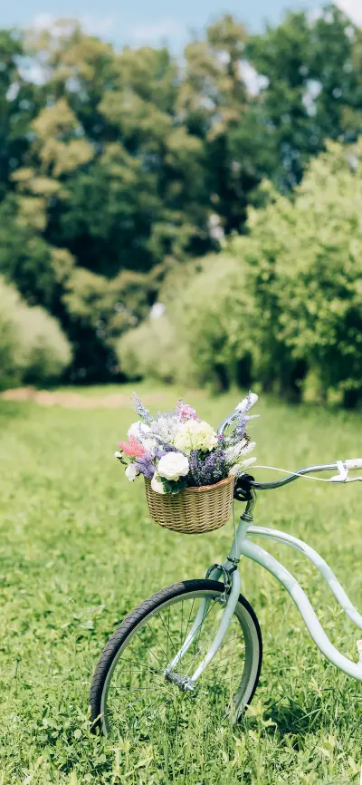 绚烂立夏-拍信图库 - Screenshot 1