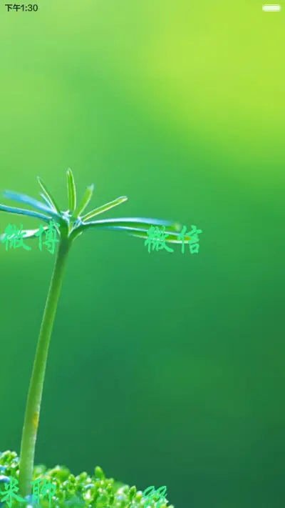 绿意盎然 - Screenshot 5